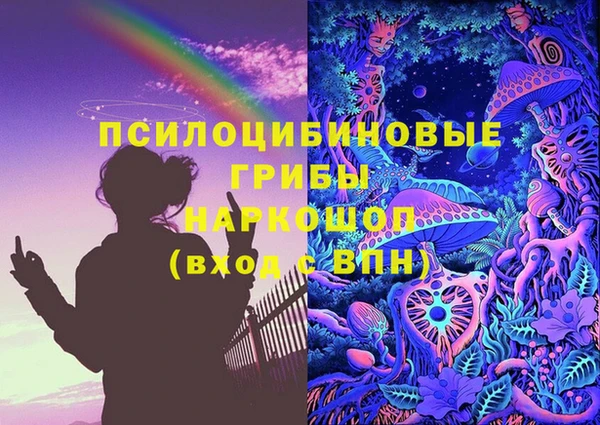 гидра Медвежьегорск
