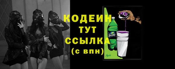гидра Медвежьегорск