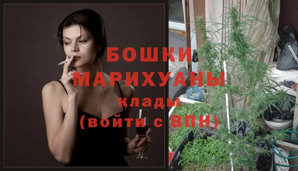 гидра Медвежьегорск
