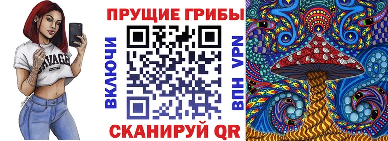 купить наркотик  KRAKEN как войти  Галлюциногенные грибы GOLDEN TEACHER  Западная Двина 