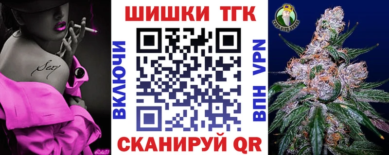 мориарти Telegram  Западная Двина  Бошки Шишки план 